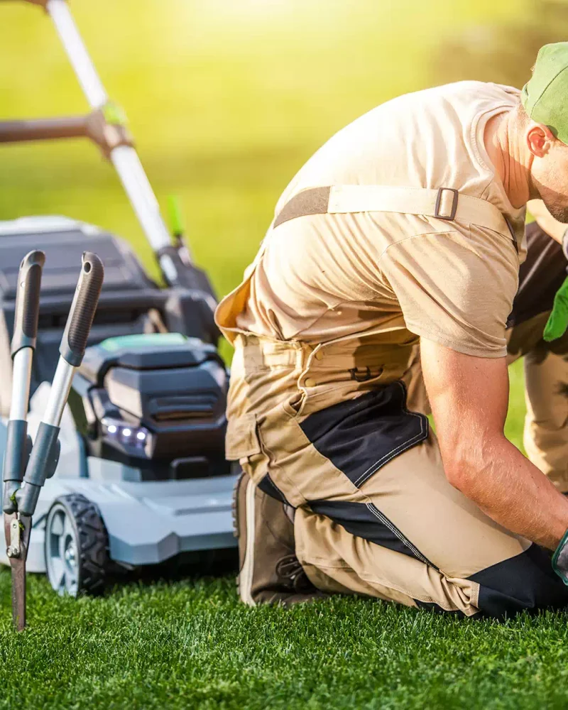 illustration-paysagiste (11)