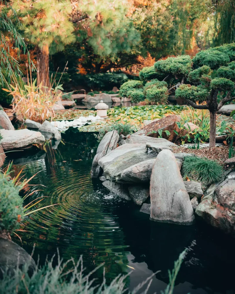 illustration-paysagiste (8)